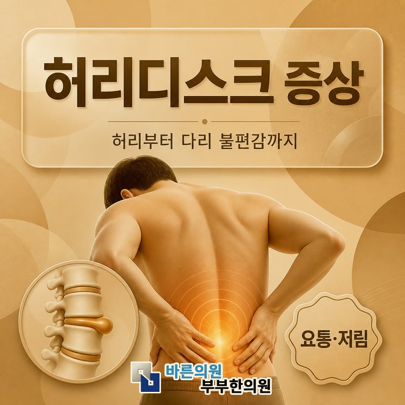지금 나의 허리 통증 양정동 정형외과 부산바른의원 추나 허리디스크 일까?