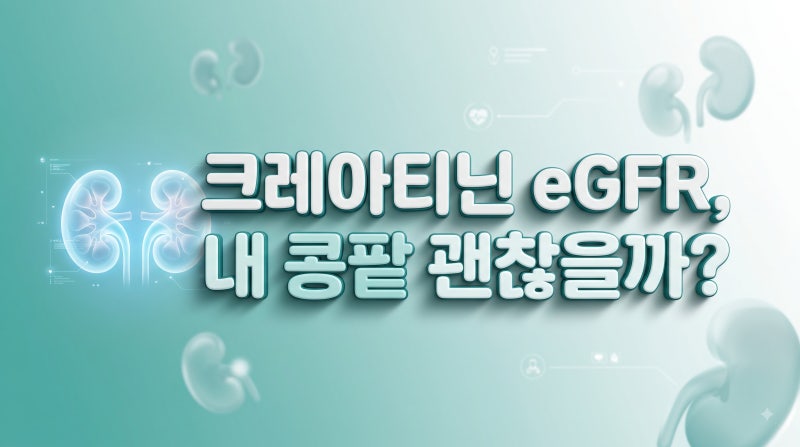크레아티닌·eGFR 수치 뜻, 건강검진 결과표 이렇게 보세요