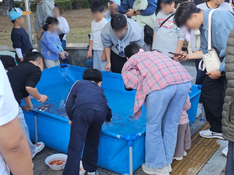 2026 부산 송도 고등어축제 총정리! 가을행사 일정부터 먹거리까지 한눈에!