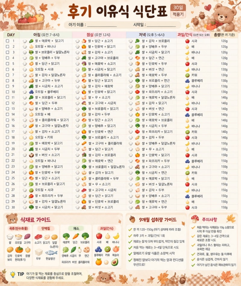 9개월 후기 이유식 30일 식단표 | 후기 이유식 3끼•양•재료•조합•과일까지