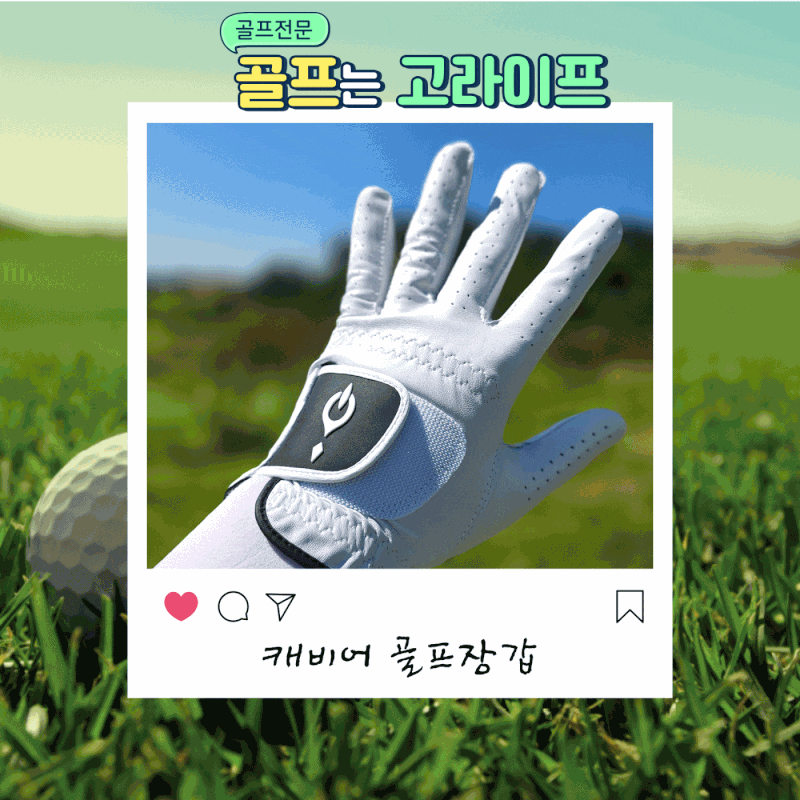 골프장갑 추천, 명품 그립 브랜드 캐비어가 만든 이유 있는 밀착감