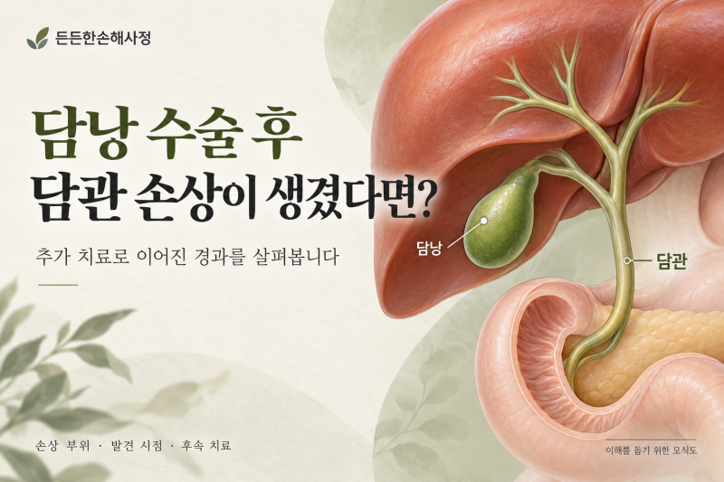 담낭 수술을 받았는데 담관이 손상됐다면? 추가 치료로 이어진 의료분쟁 이야기