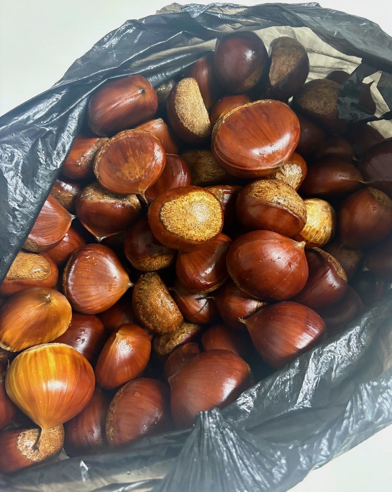 생밤 보관법 오래 보관하는 법, 냉동보관 밤 먹는 법