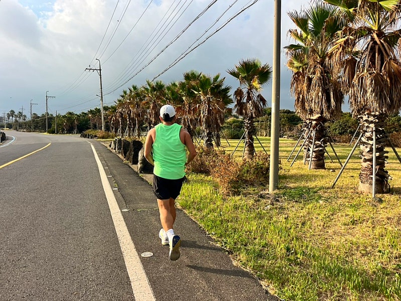 2026 제주감귤 국제마라톤 코스 미리보기 조천운동장 출발, 10km·하프·풀 반환점 주변맛집까....