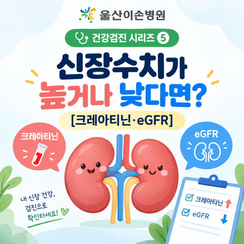 건강검진 시리즈 5 신장수치가 높거나 낮다면? [크레아티닌·eGFR]