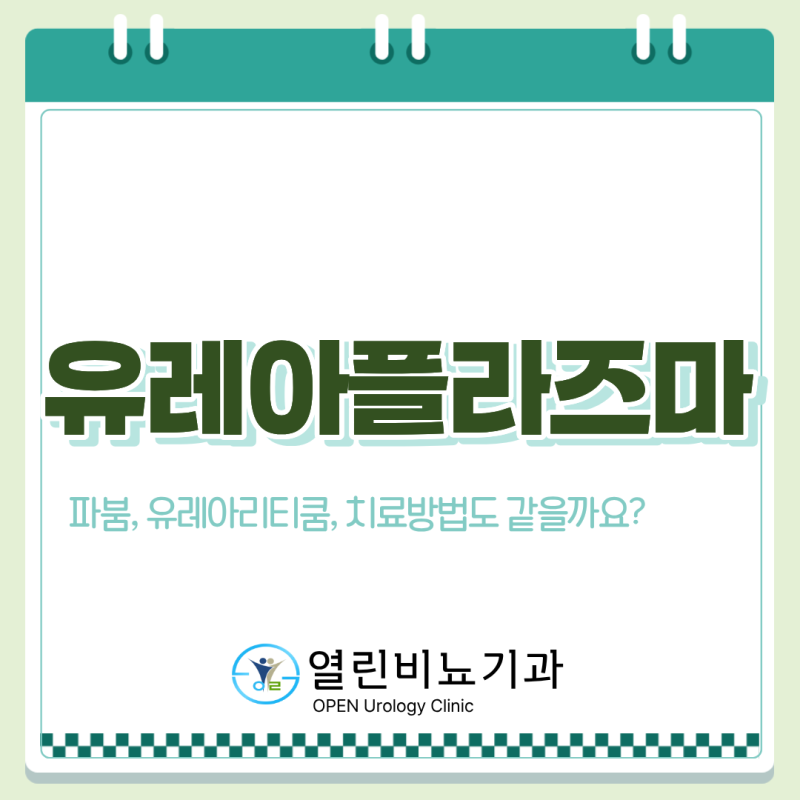 유레아플라즈마 파붐(Ureaplasma parvum)·유레아리티쿰(Ureaplasma urealyticum), 치료 방법도 같을까요?