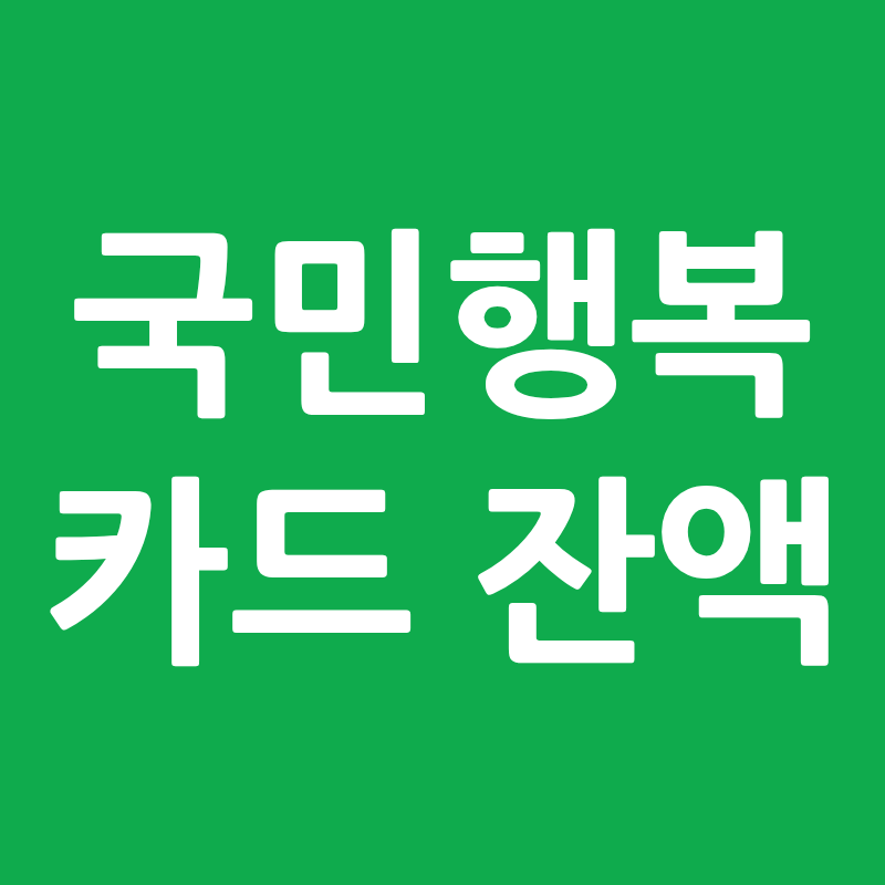 건보공단 먹통에 임신출산 바우처 잔액조회 안된다더니, 카드사 확인법 총정리