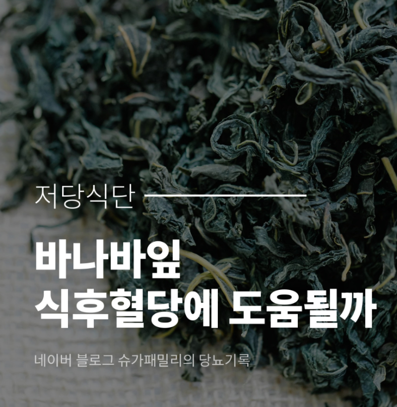 바나바잎, 식후혈당에 정말 도움될까(ft.식약처 인정 성분 코로솔산)
