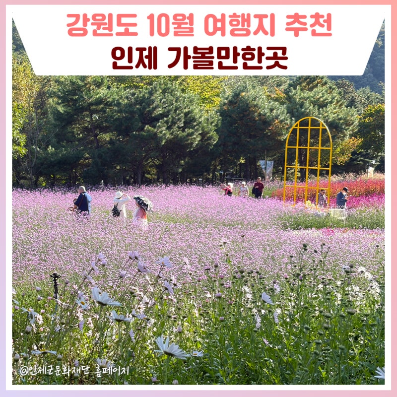 강원도 10월 여행지 추천! 인제 가볼만한곳
