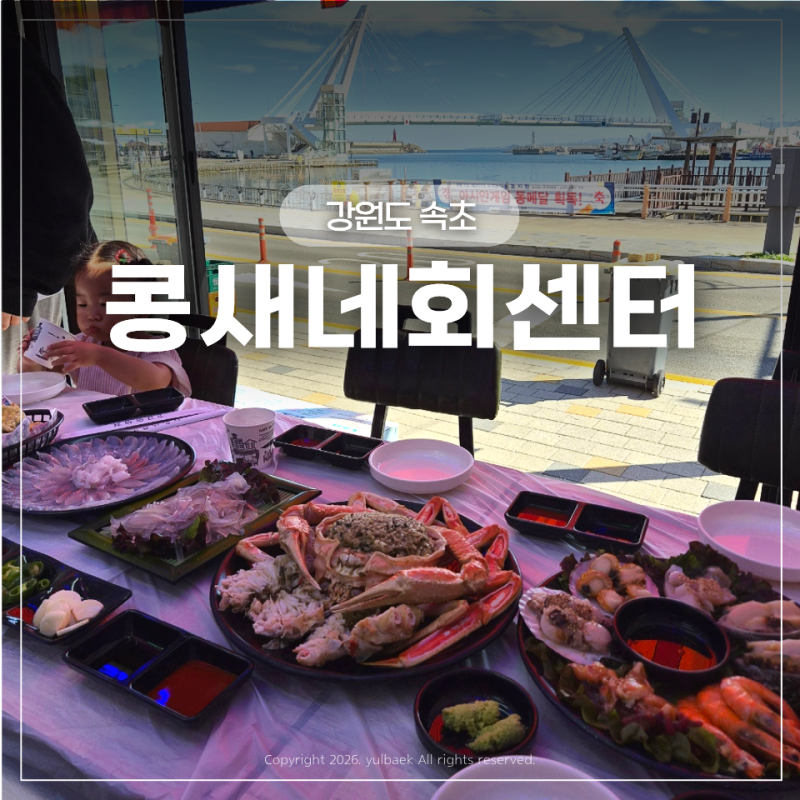 속초 가족여행 대포항맛집 정착 콩새네회센터 상다리 부러지는 대포동 대게