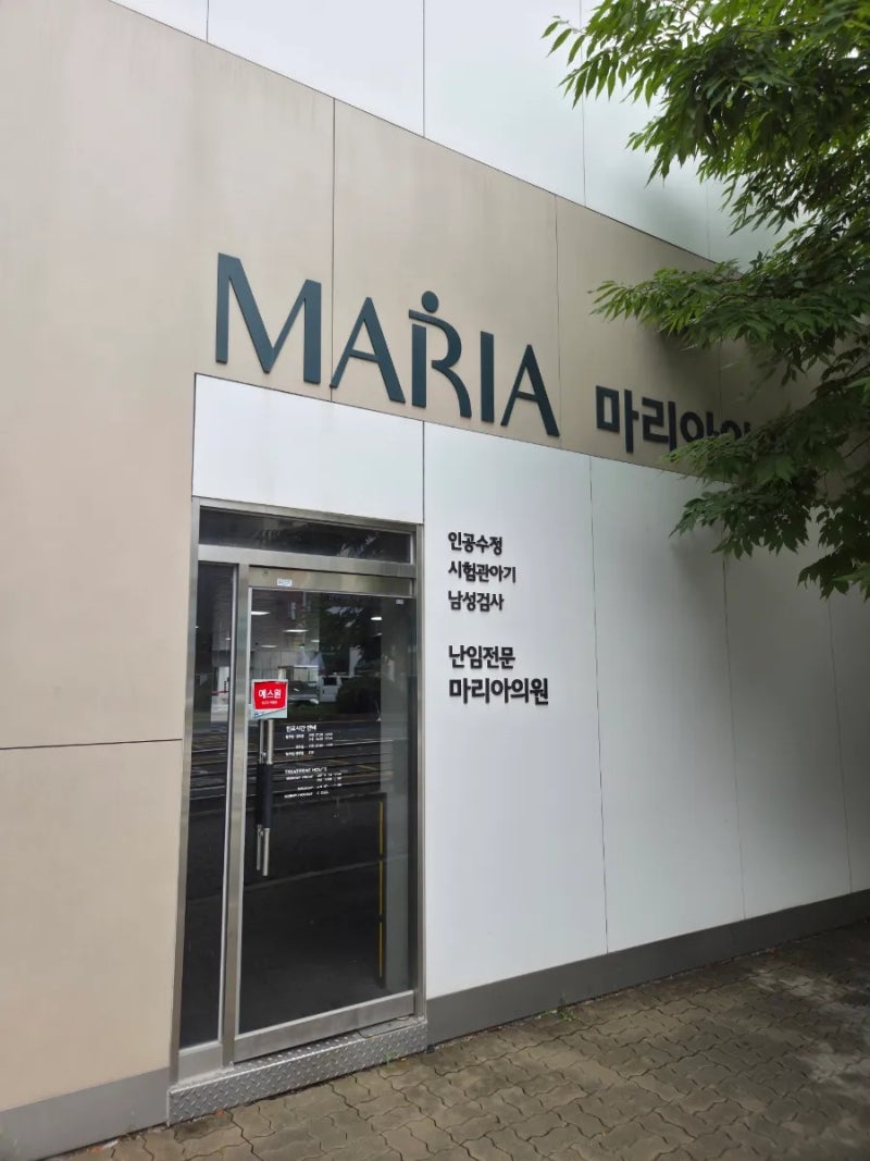 일산 마리아의원 김하신 선생님 인공수정｜배란유도부터 시술 과정까지 직장인 난임치료 현....
