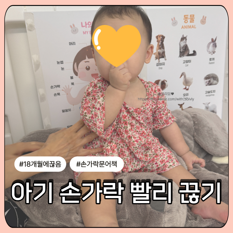 아기 손가락 빨기 끊기｜18개월 『손가락 문어』 읽고 끊은 후기