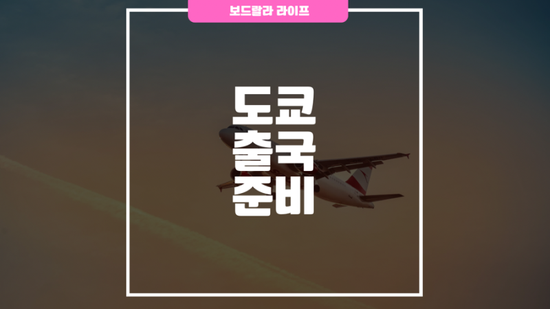 동탄 1신도시 인천공항버스 예약 방법·요금 일본 출국 준비