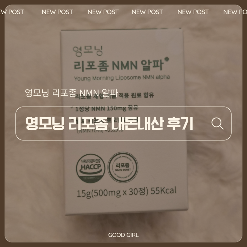 영모닝 리포좀 NMN알파 내돈내산 후기