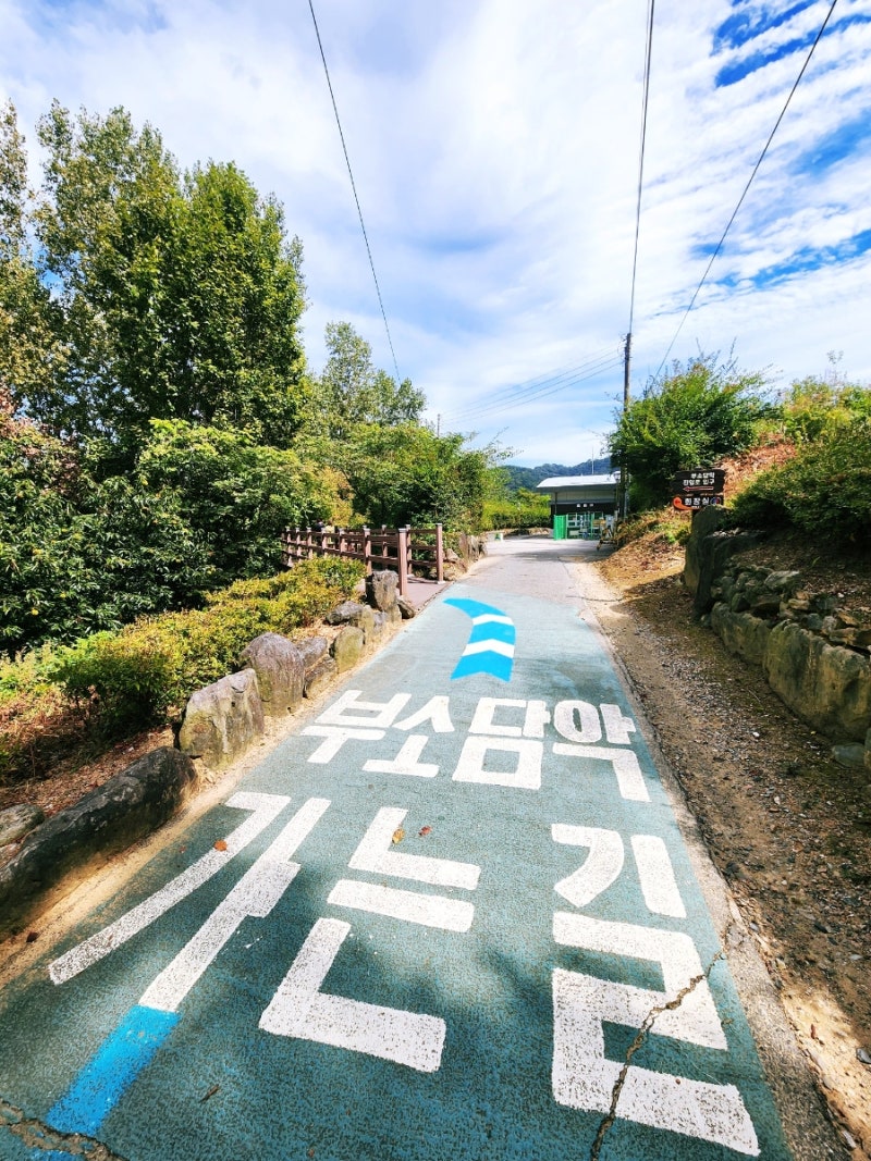 Chungbuk Okcheon Autumn Travel Destinations: Daecheongho Chusojeong, Busodamak