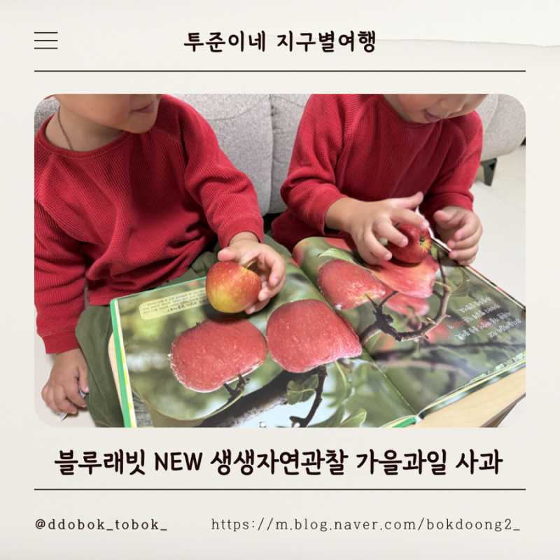 블루래빗 NEW 생생자연관찰 가을에 만나는 과일 사과