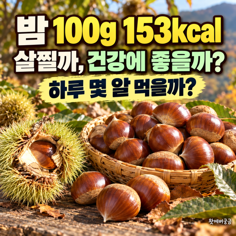 밤 영양성분, 효능과 칼로리｜직접 주운 생밤, 하루 섭취량·삶는 법·보관법
