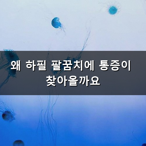 팔꿈치 통증 왜 생길까요 테니스 엘보와 골프 엘보의 차이
