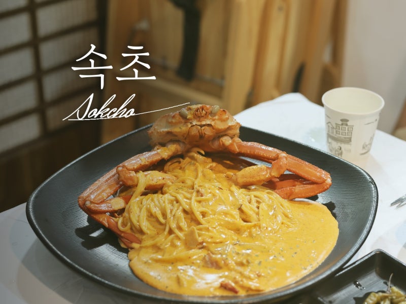 속초 홍게 무한리필 맛집 맛집 동명항 회센터 근처 가마솥찜 파스타 추천