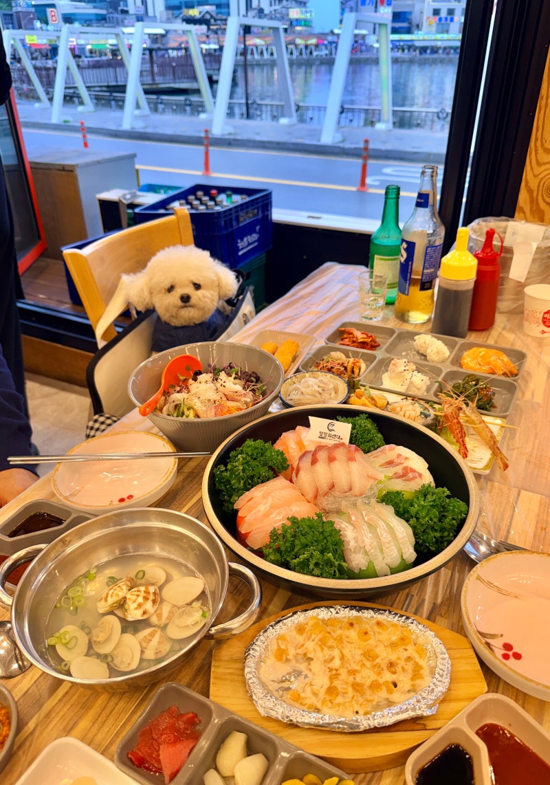 속초 맛집 대게 강아지 동반 팔팔회센타 속초대포항시장점 대게 C세트 즐기고 온 후기