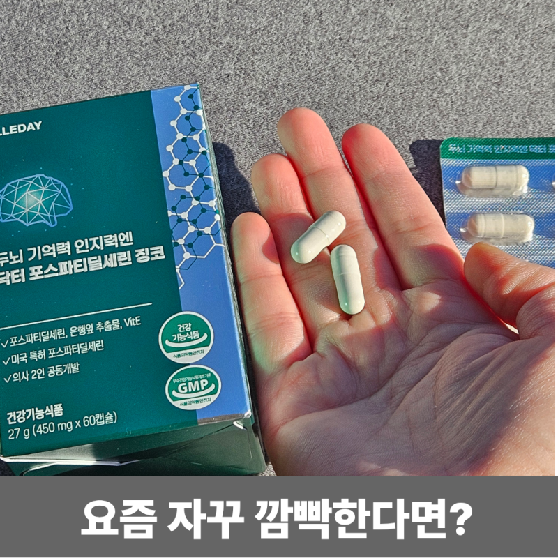 두뇌 기억력 인지력엔 닥터 포스파티딜세린 징코 두뇌 건강관리 후기