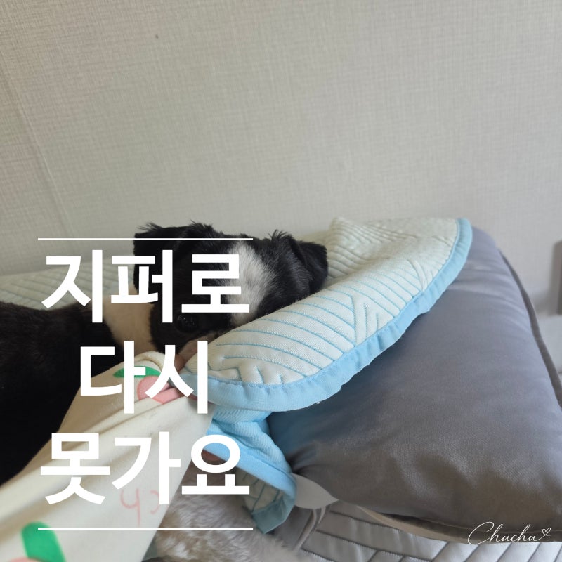밴딩베개커버 써보니, 지퍼형보다 갈아끼우기 편할까?