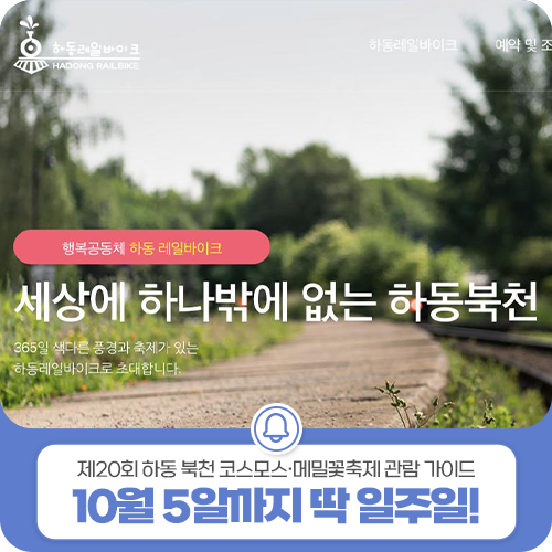 10월 5일까지 딱 일주일! 제20회 하동 북천 코스모스·메밀꽃축제 관람 가이드 (남은 일정·입....
