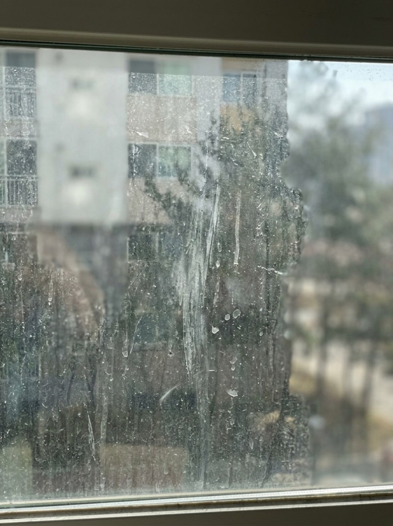 베란다 유리창 청소도구, 세제와 로봇 선택 기준