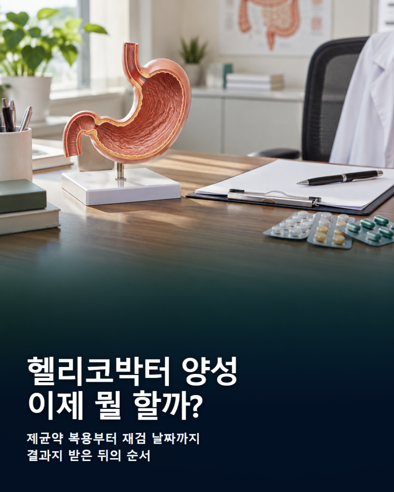 위내시경에서 헬리코박터 양성? 제균약 복용부터 재검 날짜까지