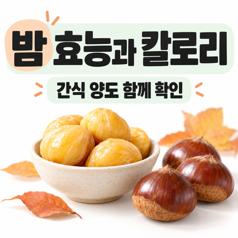 밤 효능, 칼로리와 먹는 양까지 함께 살펴봐요