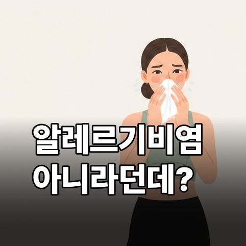 알레르기성 비염이 아니라는데 콧물 줄줄, 혈관운동성 비염은 뭘까?
