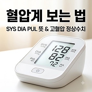 가정용혈압계 혈압측정기 보는법 SYS DIA PUL 뜻 | 고혈압 수치 140 150 160 정상범위는?