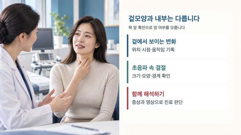 갑상선 암 혹 모양, 겉 혹과 초음파 결절은 어떻게 다를까?