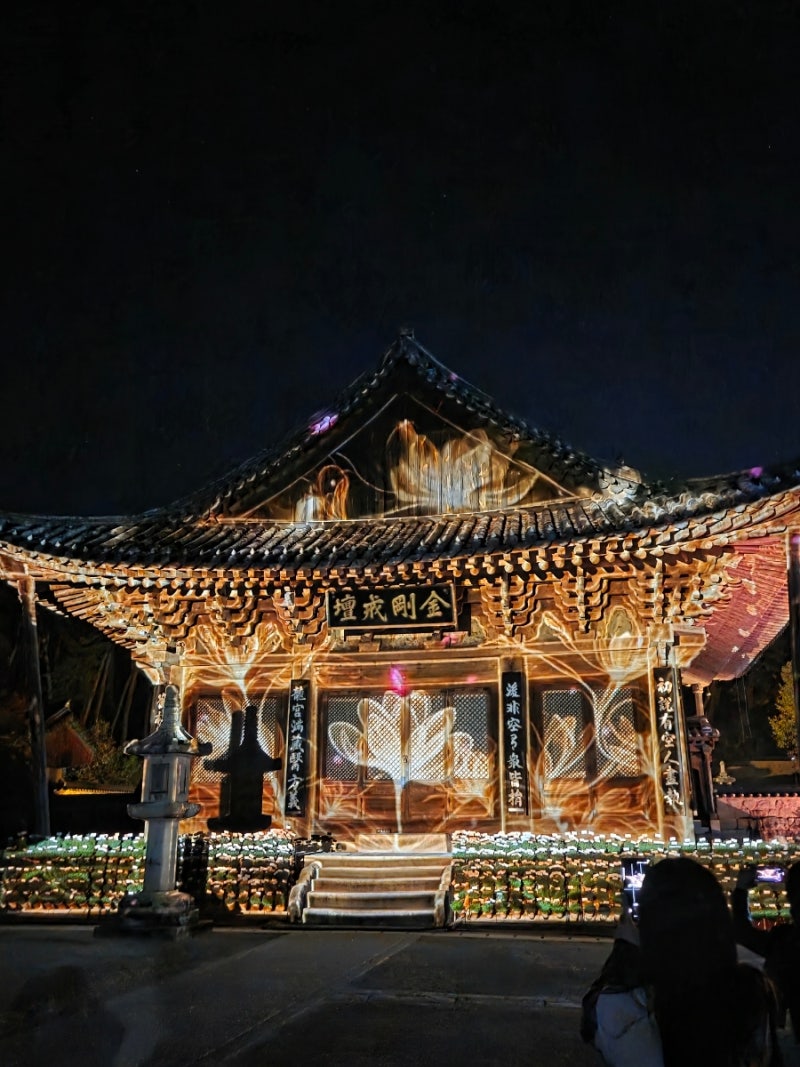 2026 양산 통도사 미디어 아트 | "통도, 고요에 이르다" 일정 및 주차장 꿀팁 총정리!!