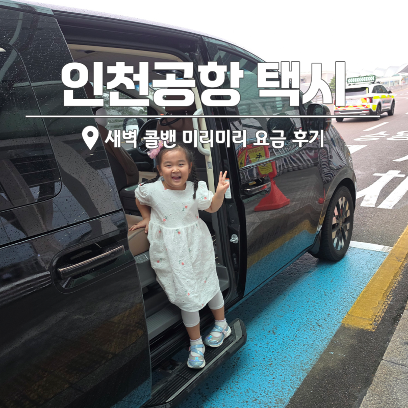 Incheon Airport Taxi: Early Morning Call Van Fares and Review