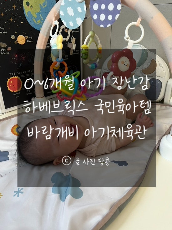 [하베브릭스] 신생아 장난감 추천 '바람개비 아기체육관' 센스 있는 출산 선물 국민육아템