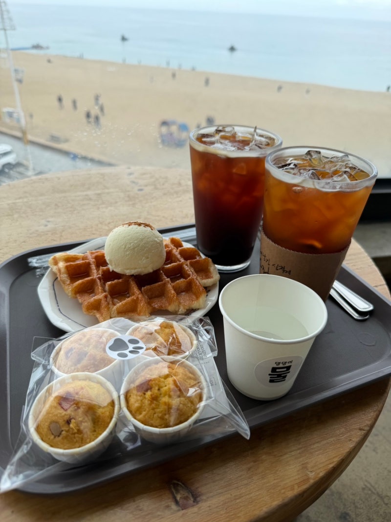커피 아메리카 강릉점 애견 동반 가능한 오션뷰 커피 맛집
