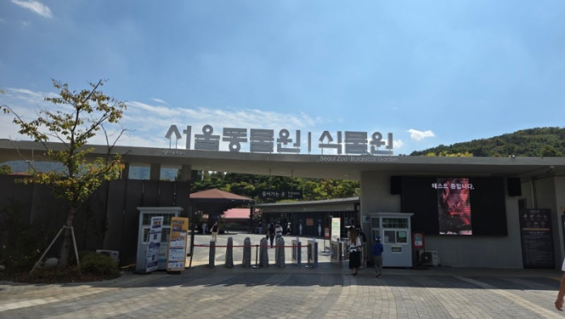 서울대공원 동물원 피크닉 코스추천 돗자리 명당 서울대공원주차장 꿀팁 모음집