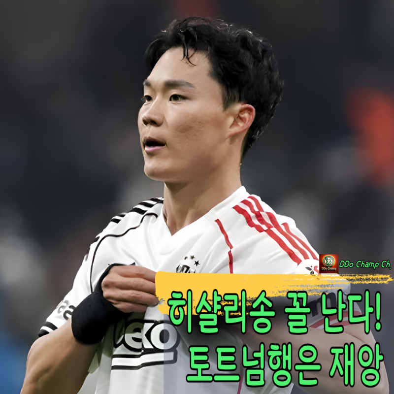 "히샬리송 꼴 난다! 토트넘행은 재앙" 오현규 토트넘 최전방 긴급 보강 추진