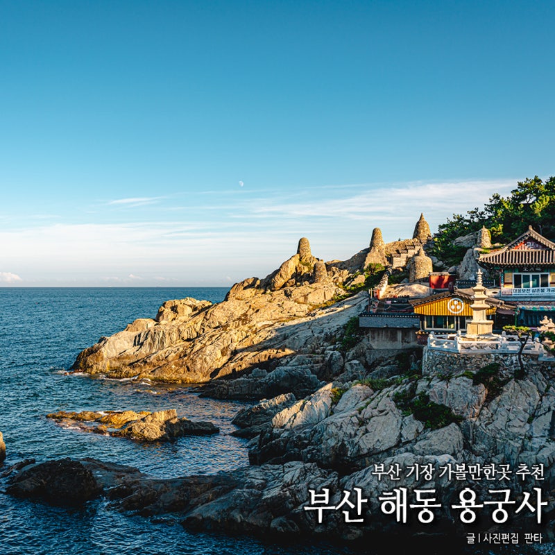 부산 해동 용궁사 부산 기장 가볼만한곳 전국 유명 사찰 가볼만한 절 유명한 절