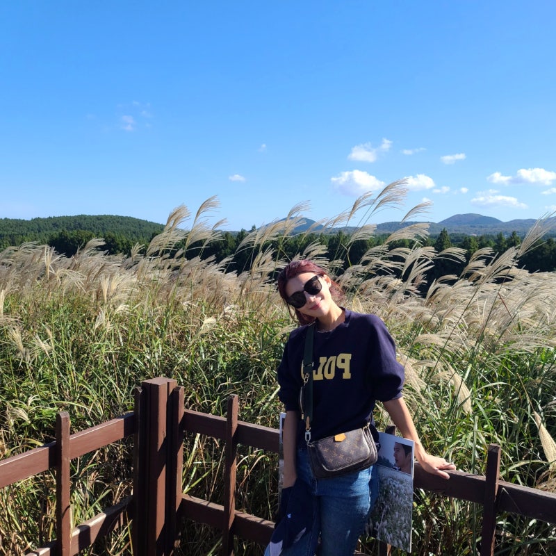 10월 제주도 여행 가을 제주도 가볼만한곳 10곳