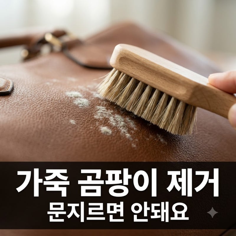 가죽가방 곰팡이 제거, 문지르면 더 상합니다! 안전하게 없애는 법