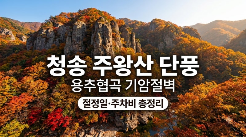 2026 청송 주왕산 단풍 구경 용추협곡·주산지 절정일·주차비 총정리 (편도 3.2km 코스)