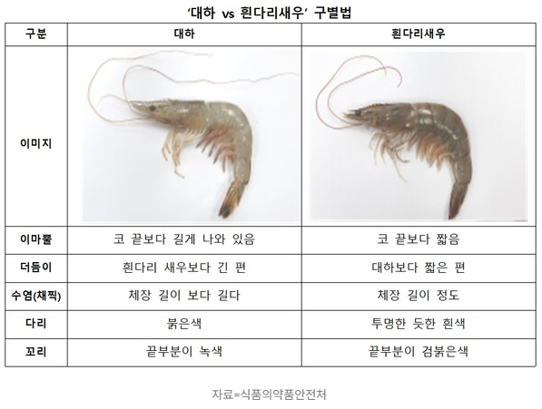 대하 흰다리 차이, 뭐가 다를까? 이것만 구분하면 됩니다!