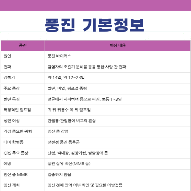 풍진 Rubella 기본정보