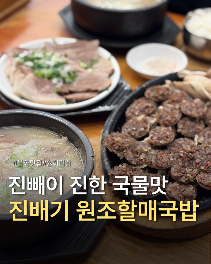 진영맛집 진배기원조할매국밥 진영점 가족 점심 외식 후기