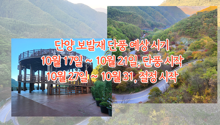 2026년 단양 보발재 전망대 단풍 예상 시기
