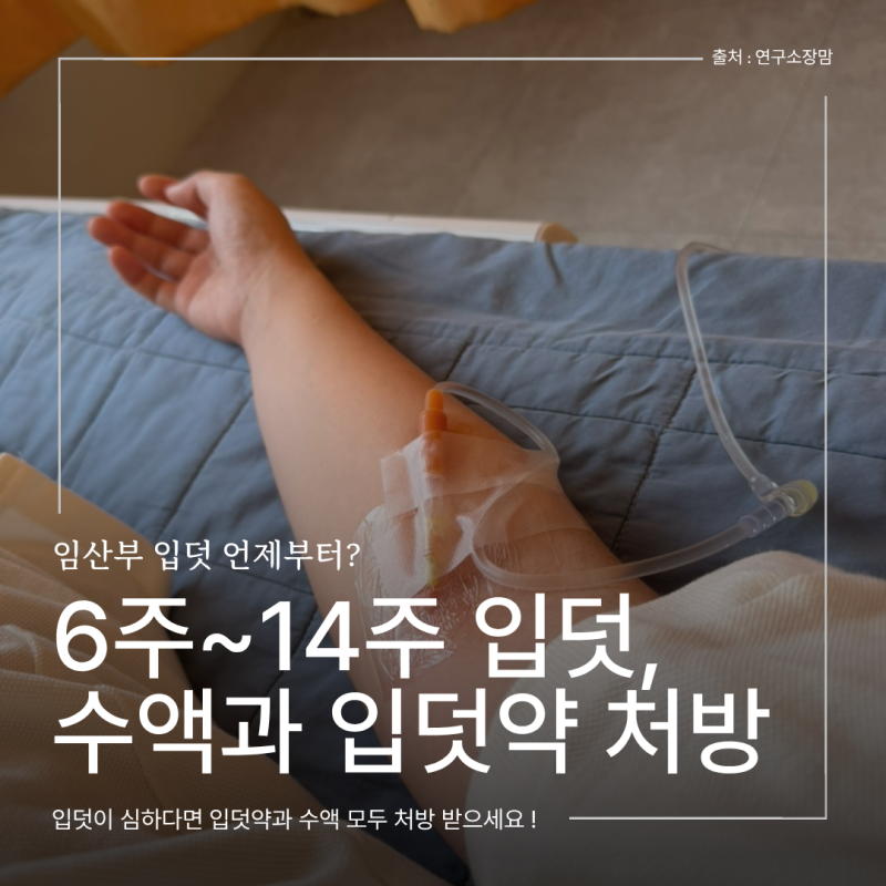 임신 6주부터 시작된 입덧, 수액과 입덧약 풀처방까지