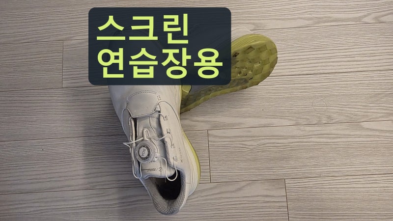 에코골프화 LT1 보아 사용기, 스크린·연습장용으론 또 산다