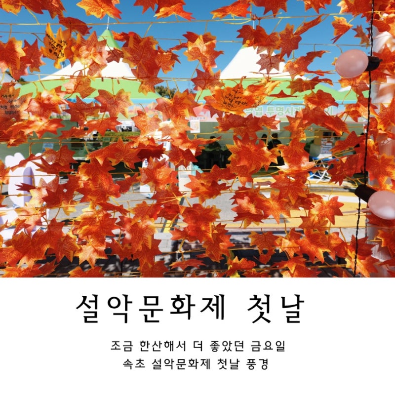 속초 가을축제 설악문화제 첫날 | 아이와 가볼 만한 체험부터 먹거리까지